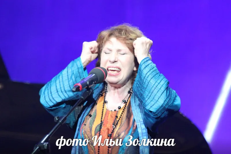 Народная артистка России Елена Камбурова