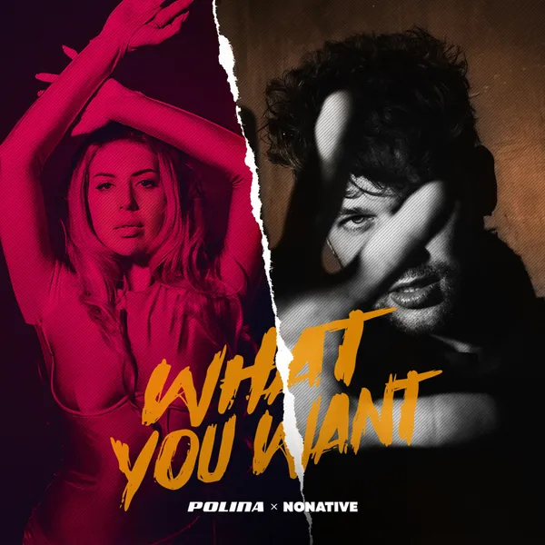 Пресс-релиз POLINA feat NoNative — «What You Want»